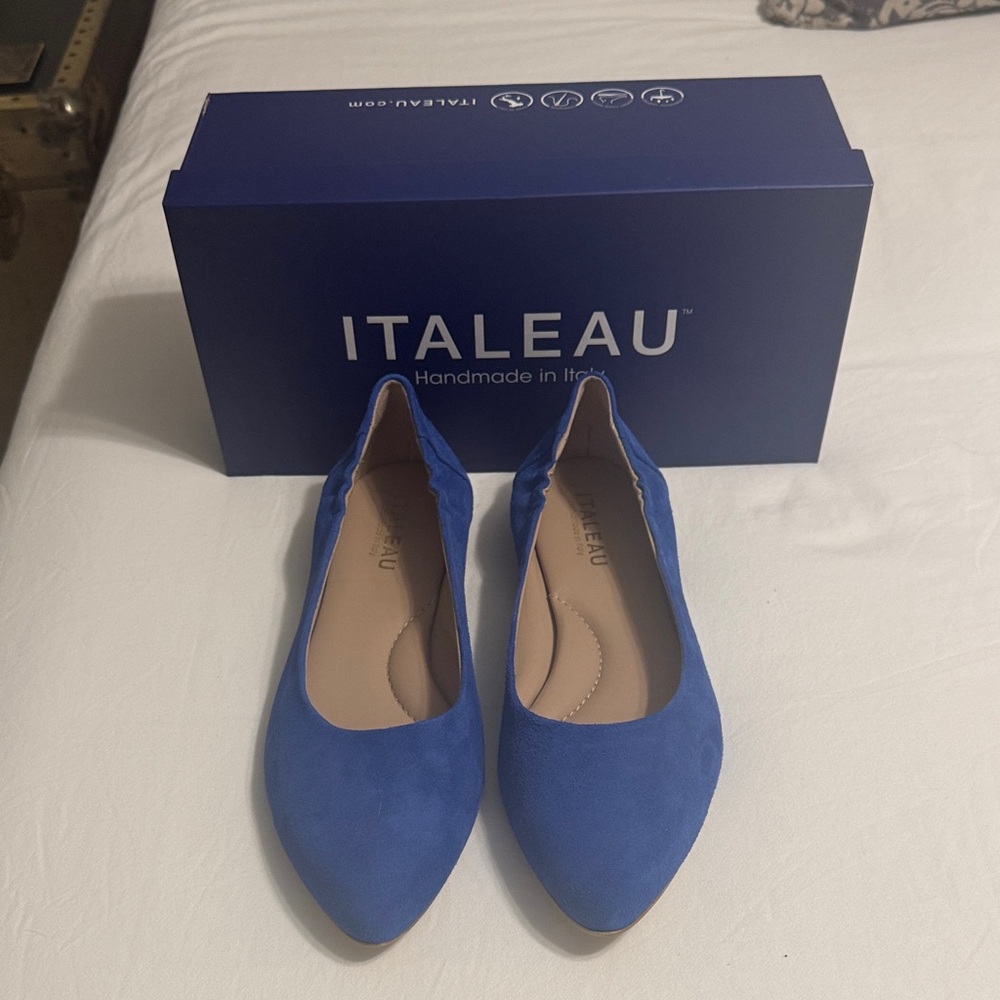 Italeau Blue Suede Pointed-Toe Ballet Flats - Women